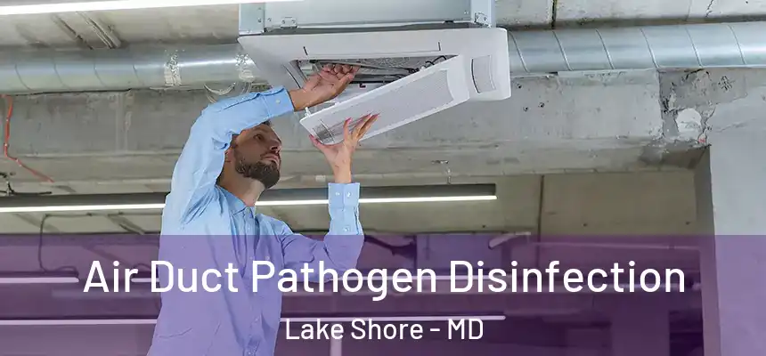  Air Duct Pathogen Disinfection Lake Shore - MD