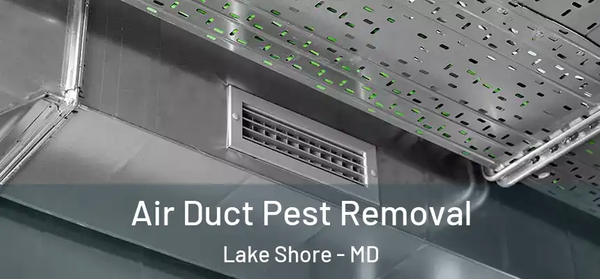 Air Duct Pest Removal Lake Shore - MD