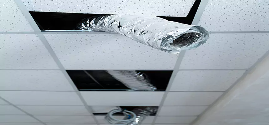 Affordable HVAC Sanitizing After Pest Removal in Lake Shore