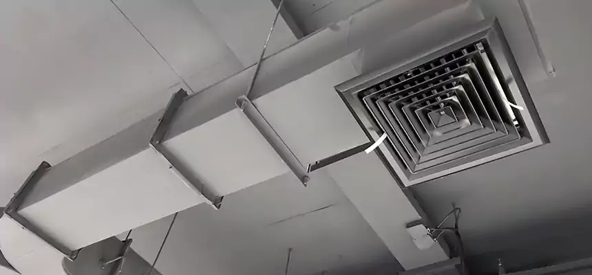 Restorative Allergy Relief Vent Cleaning – Coil, Blower & Housing Detail in Lake Shore