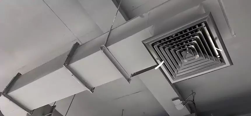 Our Pest Removal From Ducts Services in Lake Shore, MD