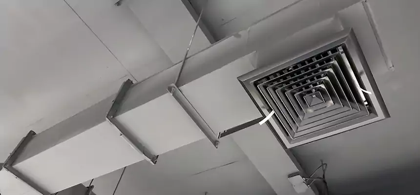 Our Rodent Droppings In Vents Services in Lake Shore, MD