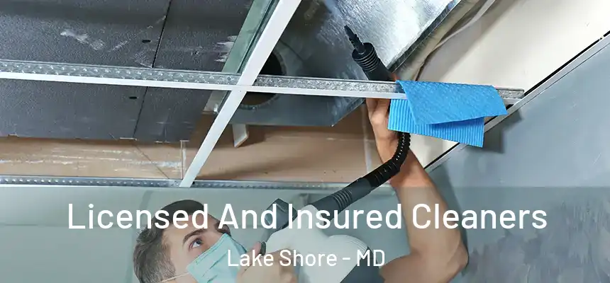 Licensed And Insured Cleaners Lake Shore - MD