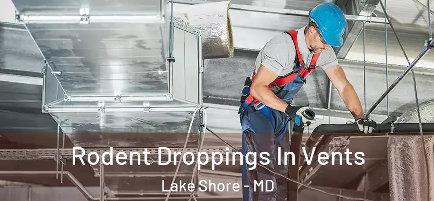 Rodent Droppings In Vents Lake Shore - MD