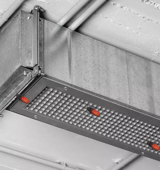 About Air Duct Cockroach Removal in Lake Shore, MD