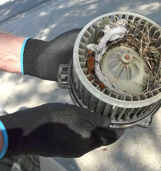 About Air Duct Rat Removal in Lake Shore, MD