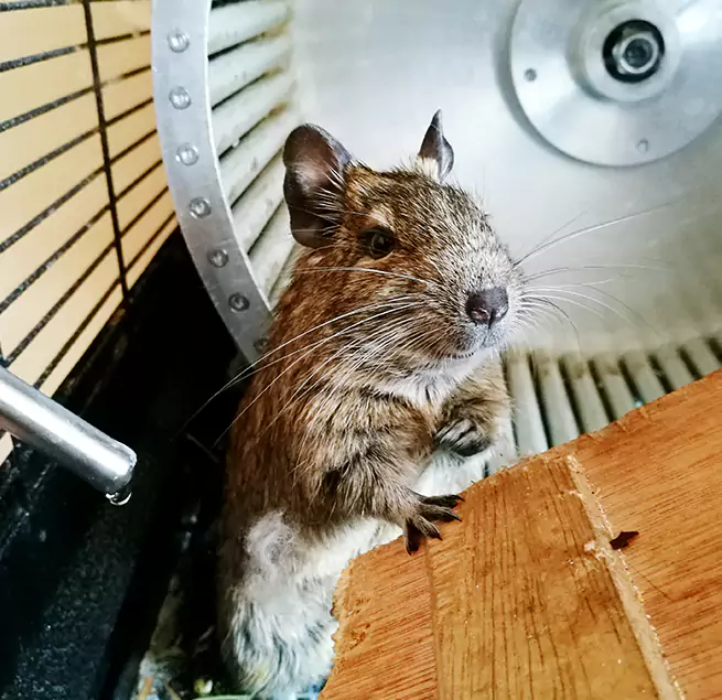 Why Homeowners & Businesses Trust Us Lake Shore, MD