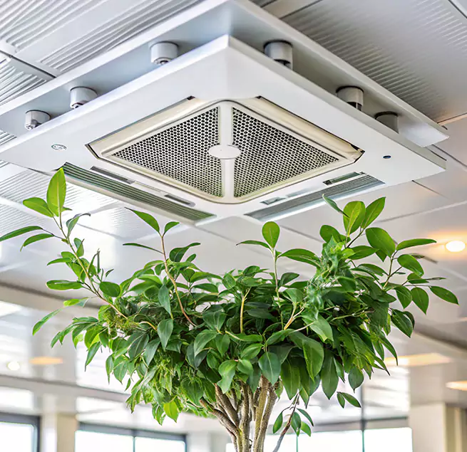 Why Homeowners & Businesses Trust Us in Lake Shore, MD?